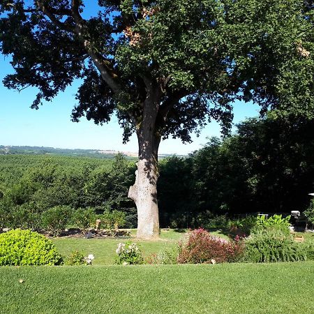 La Chenaie Bed & Breakfast Sainte-Marthe  Dış mekan fotoğraf